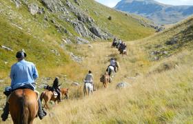 Horse riding trail in Europe