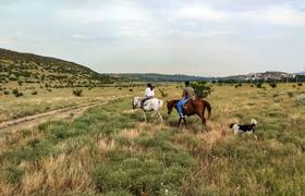 Georgia Horse Riding