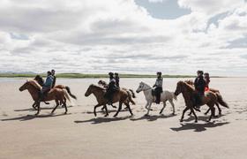 Iceland Horse Riding