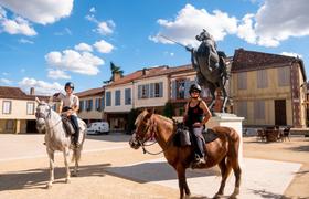 Horses in historic city