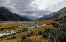 Local landscape 