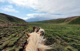 Iceland Horse Riding