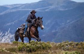 Australia Riding