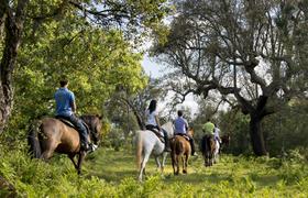 Portugal Riding