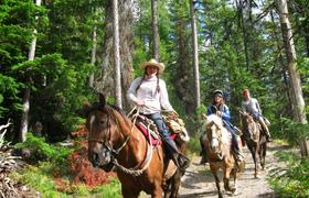 Riders in a forest 