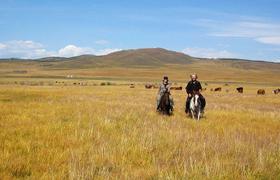 Mongolia Horse Riding