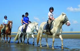 Denmark Riding