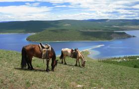 Mongolia Horse Riding