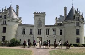 Loire Castle