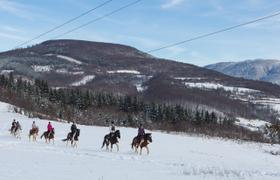 Bosnia Riding