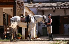 Portugal Riding Lessons