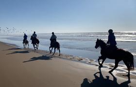 Ride along the coast 