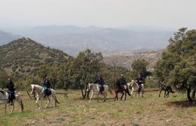 Spain Horse Riding