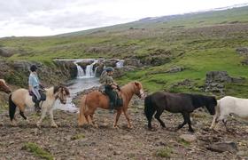 Iceland Horseriding