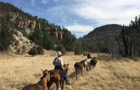 New Mexico Riding