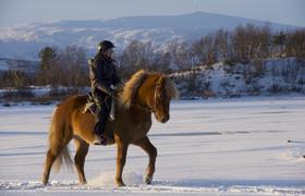 Sweden Riding