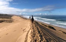 Beach ride 