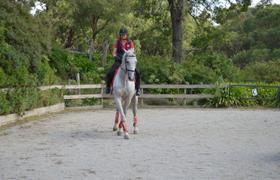 Australia Riding Lessons