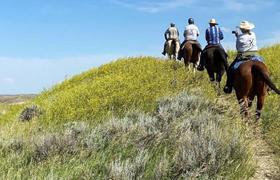 Riding towards the top of the hill