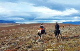 Iceland Riding