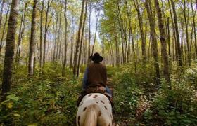 Rider on the route 