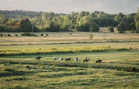 Bosnia Horse Riding