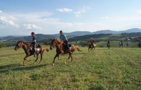 Serbia Horseriding