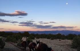 USA Horse Trekking