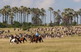 Botswana Horseback Safari