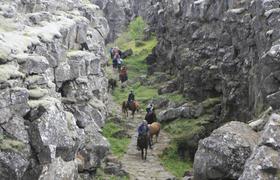 Iceland Horse Riding