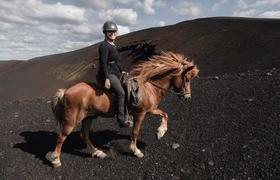 Iceland Riding