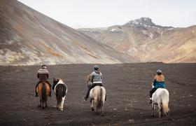 Iceland Horse Riding