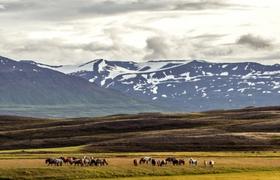 Iceland Travel