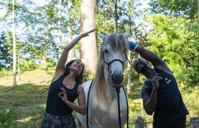 Equine Yoga Teacher Program