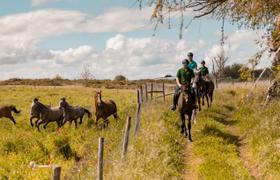 Ribatejo Riding