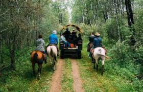 Riders following the wagon 