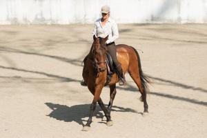 Costa Rica Riding