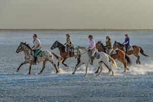 Botswana Riding