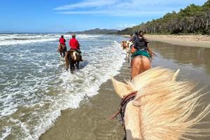 Riding along the beach 