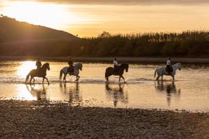 Ribatejo Riding