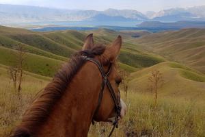 Kyrgyzstan Riding