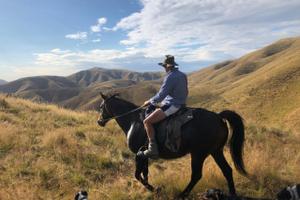 Rider in mountains 