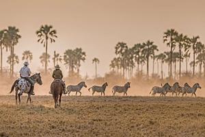 Botswana Riding