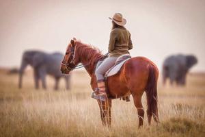 Botswana Riding