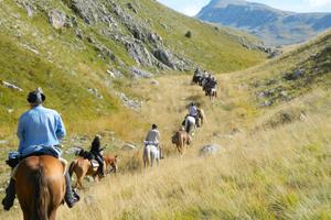 Horse riding trail in Europe