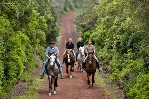 Faial Riding