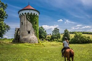 Slovenia Horse Riding