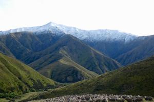 Local landscape 