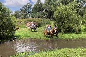 Mexico Horse Riding