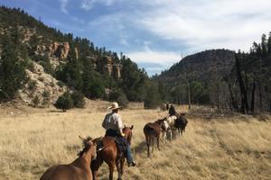 New Mexico Riding